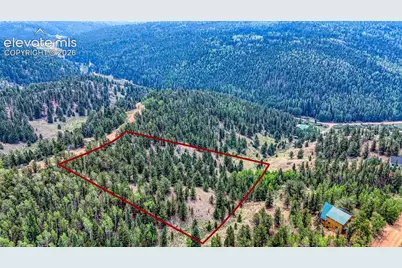 71 Brown Bear Lane, Cripple Creek, CO 80813 - Photo 2