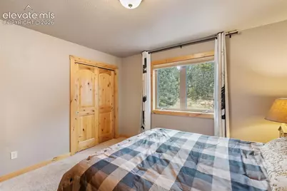 133 Elk Grove Lane, Woodland Park, CO 80863 - Photo 22