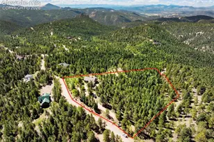 131 Paradiso Rd, Divide, CO 80814 - Photo 48