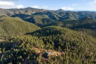 714 Woodrock Way, Divide, CO 80814 - Photo 36