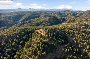 714 Woodrock Way, Divide, CO 80814 - Photo 36