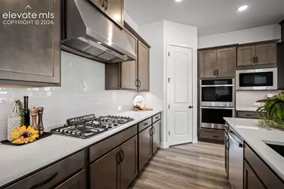 9000 Frolic View, Colorado Springs, CO 80924 - Photo 6