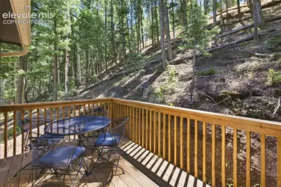 28 Joseph Road, Woodland Park, CO 80863 - Photo 24