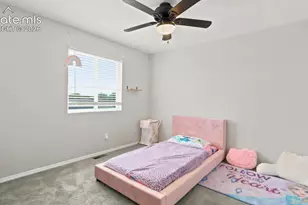 4905 Balsam St, Colorado Springs, CO 80923 - Photo 22