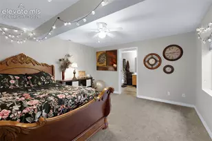 3691 Plantation Grove, Colorado Springs, CO 80920 - Photo 22