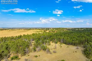 20654 Co Rd 69, Calhan, CO 80808 - Photo 28