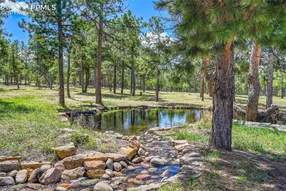 17350 Goshawk Road, Colorado Springs, CO 80908 - Photo 4
