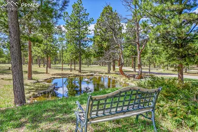 17350 Goshawk Road, Colorado Springs, CO 80908 - Photo 40