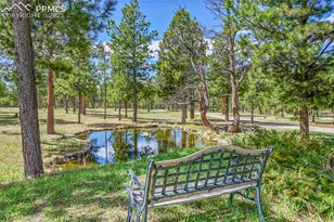17350 Goshawk Rd, Colorado Springs, CO 80908 - Photo 40