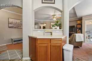 3715 Riviera Grove, Colorado Springs, CO 80922 - Photo 18