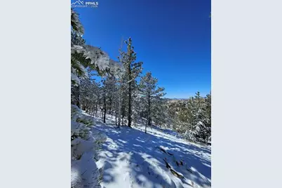 829 Princess Road, Cripple Creek, CO 80813 - Photo 8
