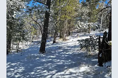 829 Princess Road, Cripple Creek, CO 80813 - Photo 12