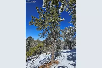 829 Princess Road, Cripple Creek, CO 80813 - Photo 10
