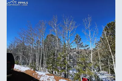829 Princess Road, Cripple Creek, CO 80813 - Photo 2