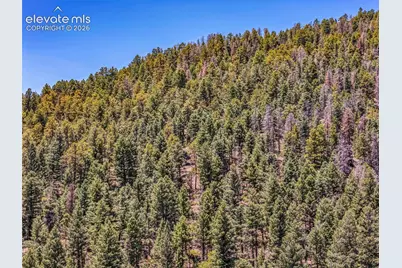Tbd Tallahassee Lane, Canon City, CO 81212 - Photo 4