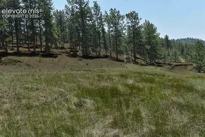 6th Street, Guffey, CO 80820 - Photo 26