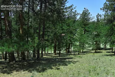 6th Street, Guffey, CO 80820 - Photo 16