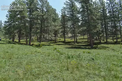 6th Street, Guffey, CO 80820 - Photo 24