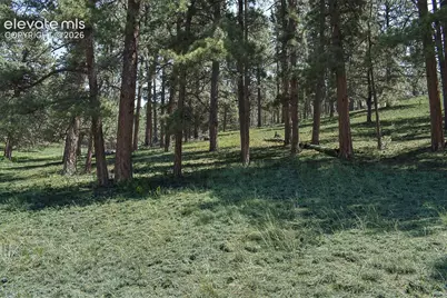 6th Street, Guffey, CO 80820 - Photo 20