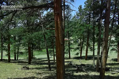 6th Street, Guffey, CO 80820 - Photo 10