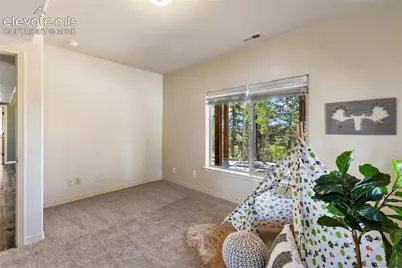 516 Saguache Drive, Florissant, CO 80816 - Photo 30