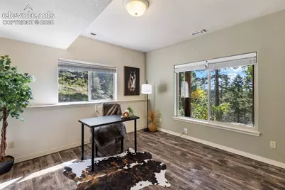 516 Saguache Drive, Florissant, CO 80816 - Photo 26