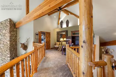 4214 Trout Creek Road, Woodland Park, CO 80863 - Photo 30