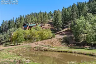 4214 Trout Creek Rd, Woodland Park, CO 80863 - Photo 4