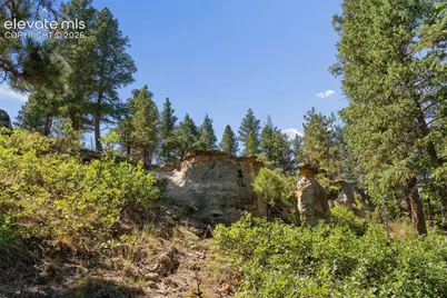 1015 Timber Valley Road, Colorado Springs, CO 80919 - Photo 10