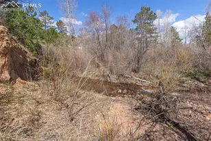 721 Forest View Rd, Monument, CO 80132 - Photo 26