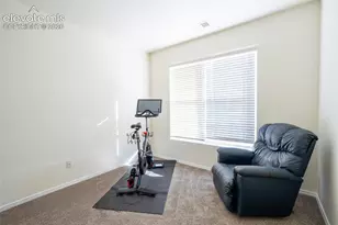 4790 Wells Branch Heights, Colorado Springs, CO 80923 - Photo 16