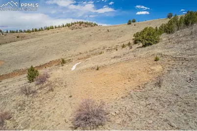 1538 County Road 1, Cripple Creek, CO 80813 - Photo 14