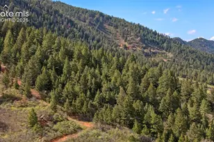 15947 S Perry Park Rd, Larkspur, CO 80118 - Photo 14