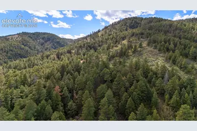 15947 S Perry Park Road, Larkspur, CO 80118 - Photo 16