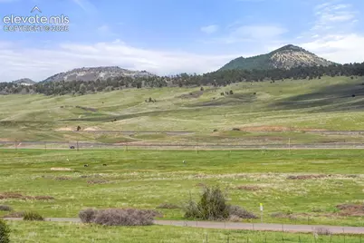 15947 S Perry Park Road, Larkspur, CO 80118 - Photo 8