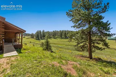 258 Appian Way, Florissant, CO 80816 - Photo 28