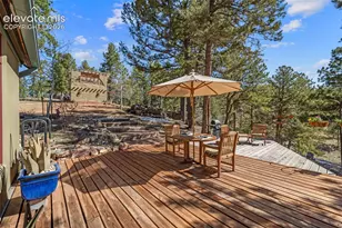 174 Needle Creek Rd, Divide, CO 80814 - Photo 6