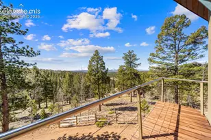 174 Needle Creek Rd, Divide, CO 80814 - Photo 24
