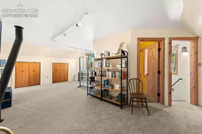 174 Needle Creek Road, Divide, CO 80814 - Photo 18