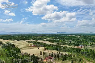 1471 Co Rd 51, Divide, CO 80814 - Photo 26