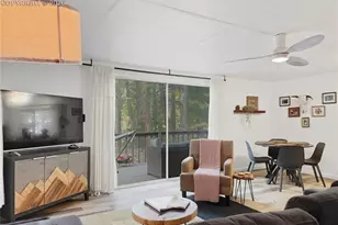 112 Denwood Dr, Florissant, CO 80816 - Photo 2