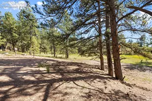 240 N Mountain Estates Rd, Florissant, CO 80816 - Photo 44