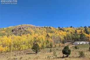2272 County Rd 1, Cripple Creek, CO 80813 - Photo 16