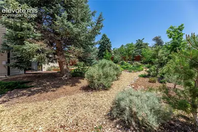 208 Elm Court, Castle Rock, CO 80104 - Photo 42