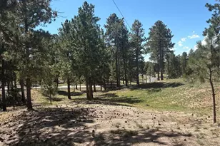 5070 Vessey Rd, Colorado Springs, CO 80908 - Photo 10