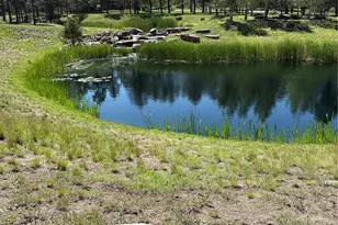 5070 Vessey Rd, Colorado Springs, CO 80908 - Photo 38