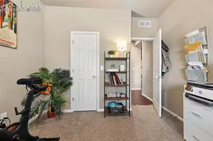 6646 Backcountry Loop, Colorado Springs, CO 80927 - Photo 18