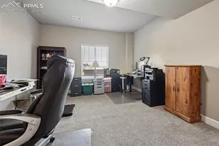 6646 Backcountry Loop, Colorado Springs, CO 80927 - Photo 32