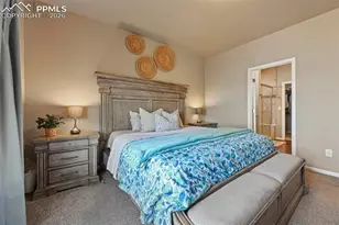 6646 Backcountry Loop, Colorado Springs, CO 80927 - Photo 14
