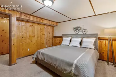 2809 Edlowe Road, Woodland Park, CO 80863 - Photo 30